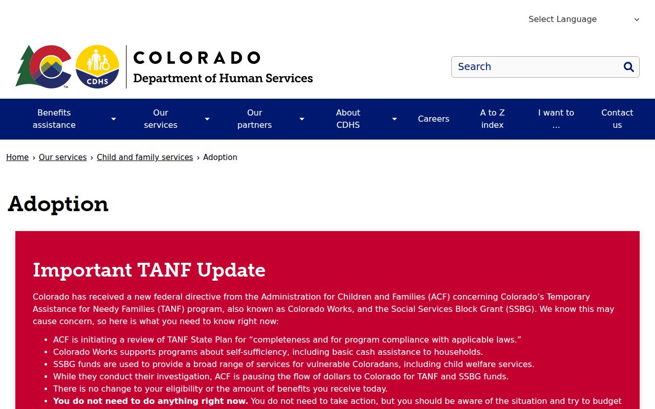 Weld County resident lookup adoption records route